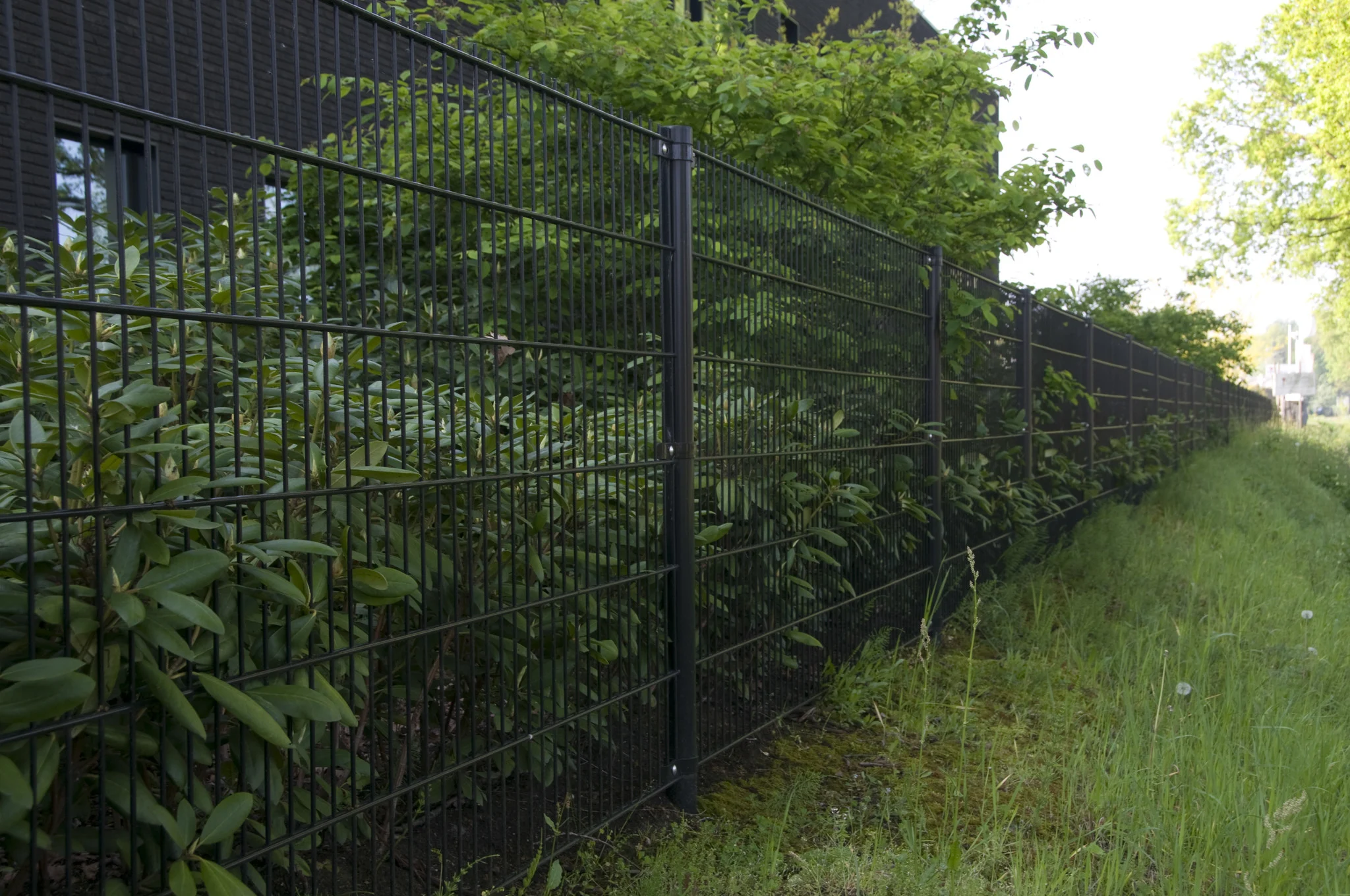 Mesh Fencing>